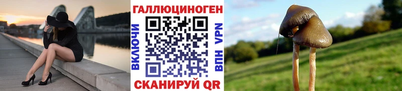 Купить закладки  Грязовец  Галлюциногенные грибы GOLDEN TEACHER 